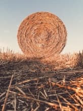 Straw Bale Insulation: Thermal Conductivity Insights