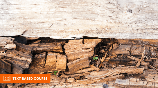 Physical Properties and Moisture Relations of Wood